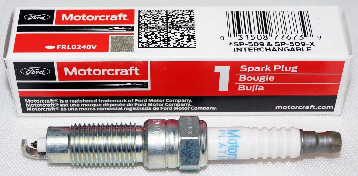 Set of 8 Genuine OEM Motorcraft SP509X Spark Plug HJFS24FPX SP509 HJFS24FP